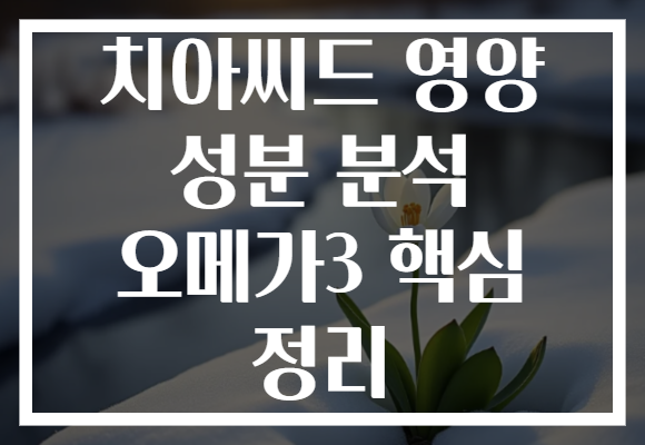 치아씨드 영양 성분 분석 오메가3 핵심 정리