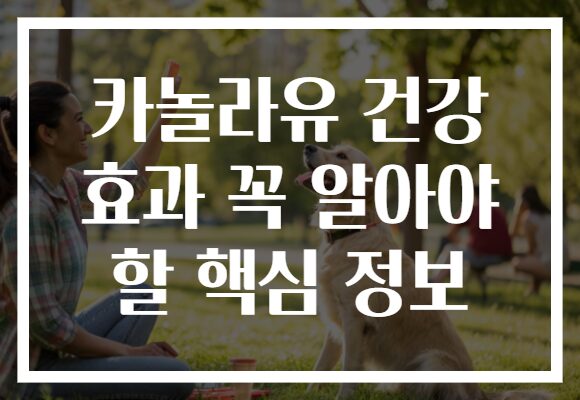 카놀라유 건강 효과 꼭 알아야 할 핵심 정보