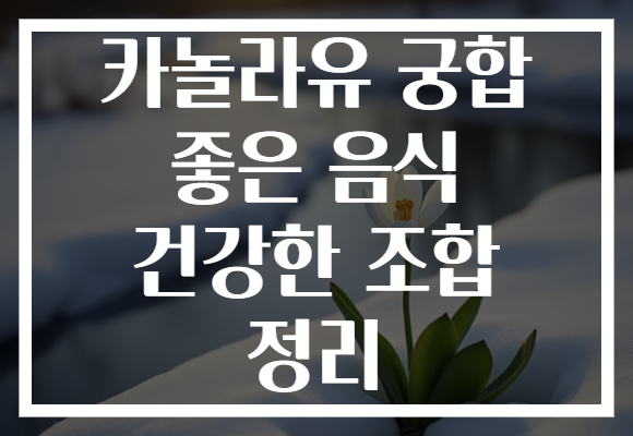 카놀라유 궁합 좋은 음식 건강한 조합 정리