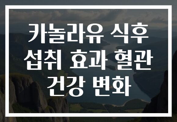 카놀라유 식후 섭취 효과 혈관 건강 변화