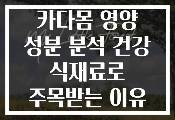 카다몸 영양 성분 분석 건강 식재료로 주목받는 이유
