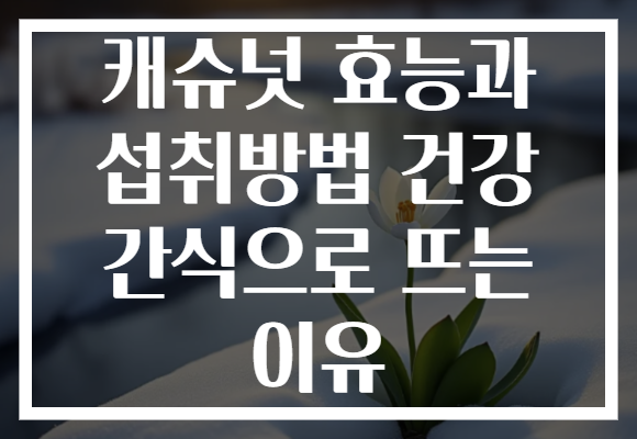 캐슈넛 효능과 섭취방법 건강 간식으로 뜨는 이유