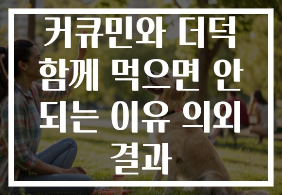 커큐민와 더덕 함께 먹으면 안 되는 이유 의외 결과