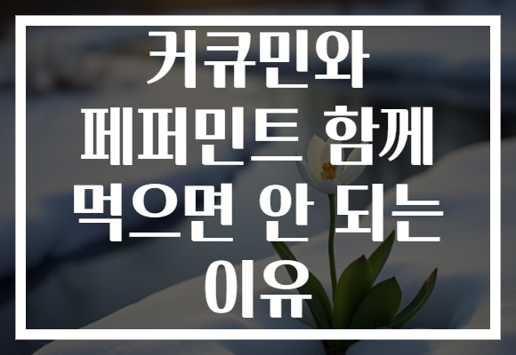 커큐민와 페퍼민트 함께 먹으면 안 되는 이유