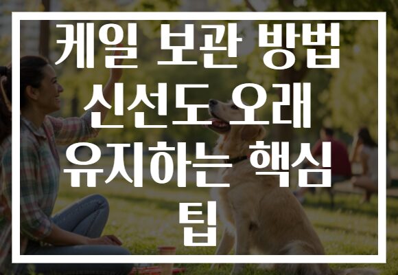 케일 보관 방법 신선도 오래 유지하는 핵심 팁