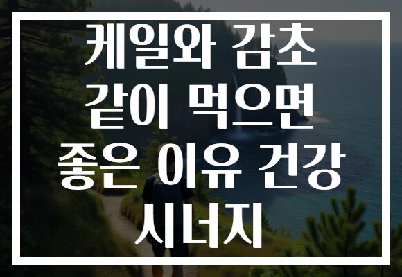 케일와 감초 같이 먹으면 좋은 이유 건강 시너지