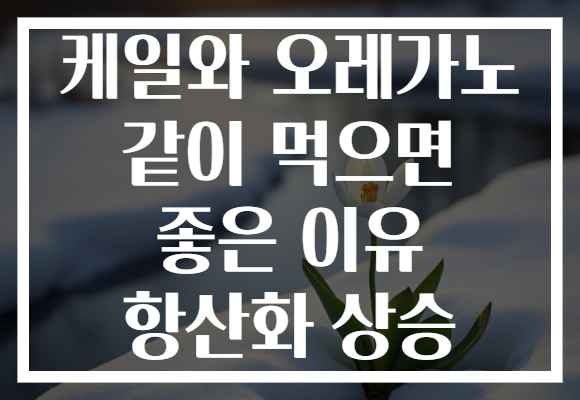 케일와 오레가노 같이 먹으면 좋은 이유 항산화 상승