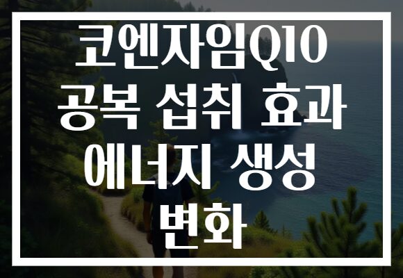 코엔자임Q10 공복 섭취 효과 에너지 생성 변화