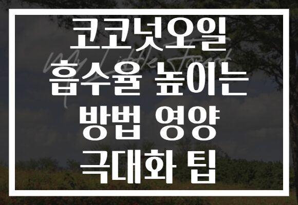 코코넛오일 흡수율 높이는 방법 영양 극대화 팁