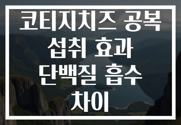 코티지치즈 공복 섭취 효과 단백질 흡수 차이