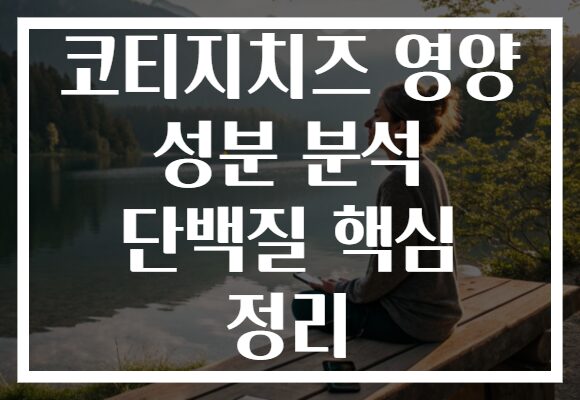 코티지치즈 영양 성분 분석 단백질 핵심 정리
