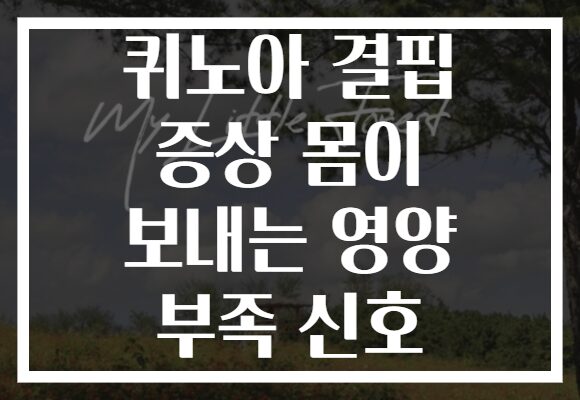 퀴노아 결핍 증상 몸이 보내는 영양 부족 신호