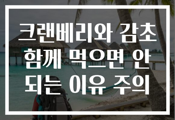 크랜베리와 감초 함께 먹으면 안 되는 이유 주의