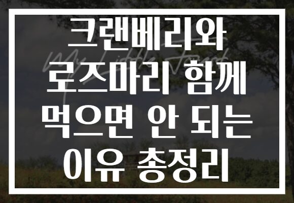 크랜베리와 로즈마리 함께 먹으면 안 되는 이유 총정리