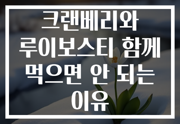 크랜베리와 루이보스티 함께 먹으면 안 되는 이유