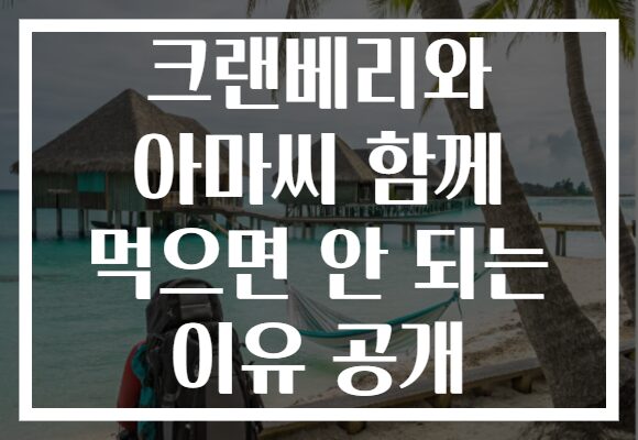 크랜베리와 아마씨 함께 먹으면 안 되는 이유 공개