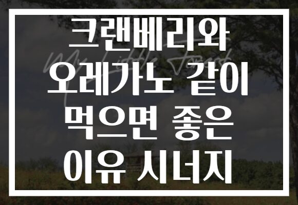 크랜베리와 오레가노 같이 먹으면 좋은 이유 시너지