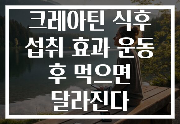 크레아틴 식후 섭취 효과 운동 후 먹으면 달라진다