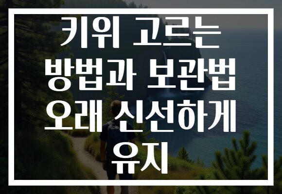 키위 고르는 방법과 보관법 오래 신선하게 유지