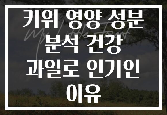 키위 영양 성분 분석 건강 과일로 인기인 이유