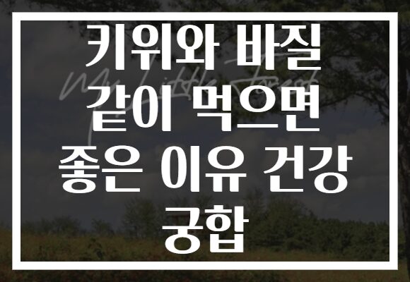 키위와 바질 같이 먹으면 좋은 이유 건강 궁합