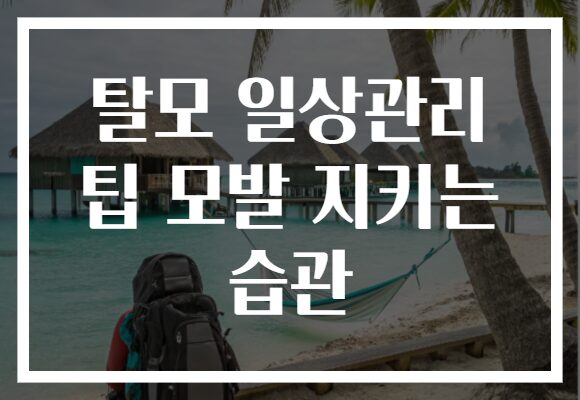 탈모 일상관리 팁 모발 지키는 습관
