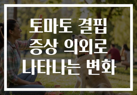 토마토 결핍 증상 의외로 나타나는 변화