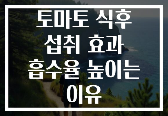 토마토 식후 섭취 효과 흡수율 높이는 이유