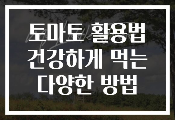 토마토 활용법 건강하게 먹는 다양한 방법