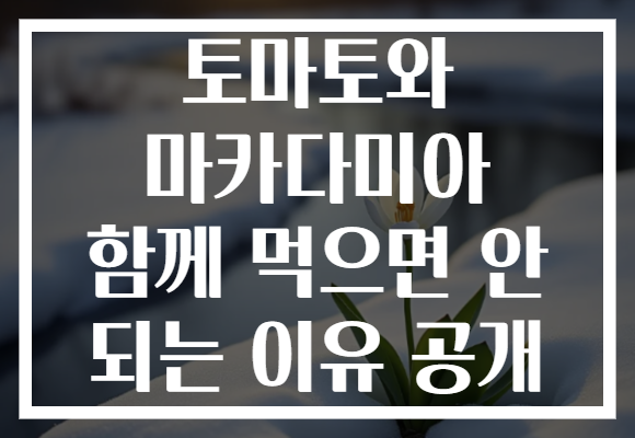 토마토와 마카다미아 함께 먹으면 안 되는 이유 공개