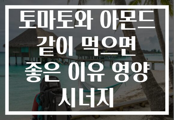 토마토와 아몬드 같이 먹으면 좋은 이유 영양 시너지