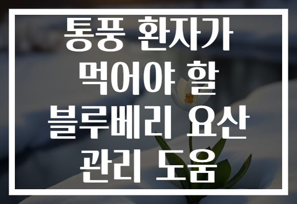 통풍 환자가 먹어야 할 블루베리 요산 관리 도움