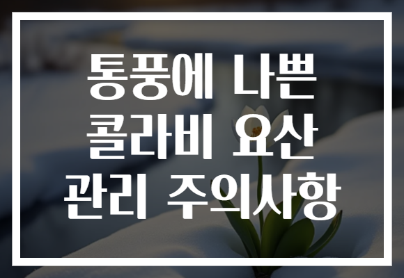 통풍에 나쁜 콜라비 요산 관리 주의사항