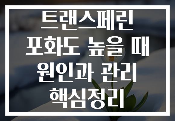 트랜스페린 포화도 높을 때 원인과 관리 핵심정리