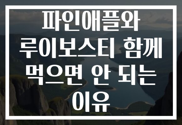 파인애플와 루이보스티 함께 먹으면 안 되는 이유