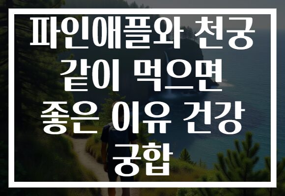 파인애플와 천궁 같이 먹으면 좋은 이유 건강 궁합