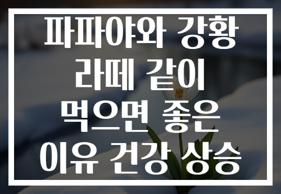 파파야와 강황 라떼 같이 먹으면 좋은 이유 건강 상승