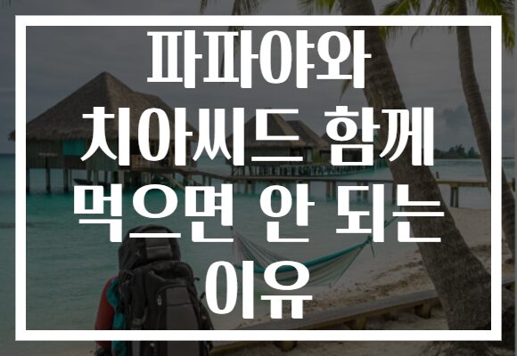 파파야와 치아씨드 함께 먹으면 안 되는 이유