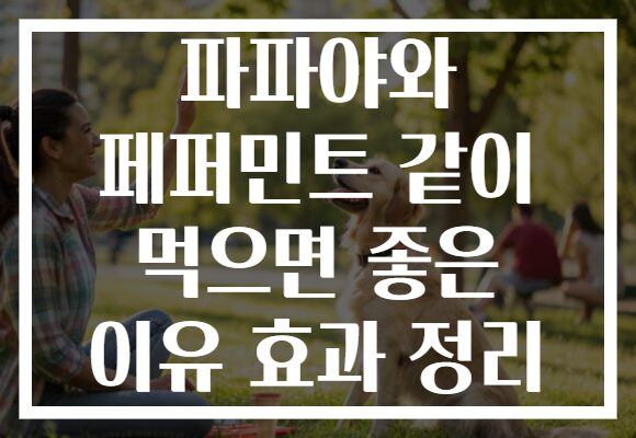 파파야와 페퍼민트 같이 먹으면 좋은 이유 효과 정리