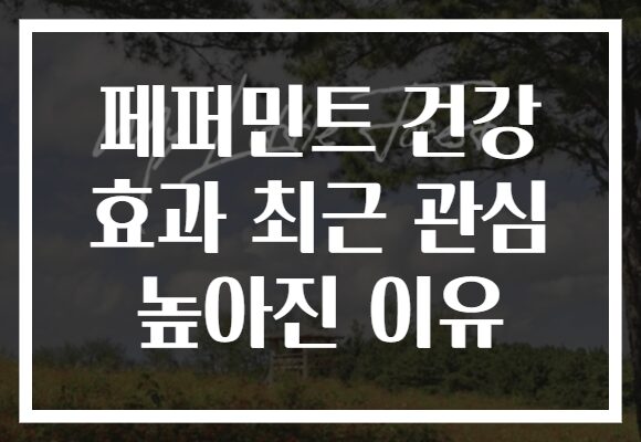 페퍼민트 건강 효과 최근 관심 높아진 이유