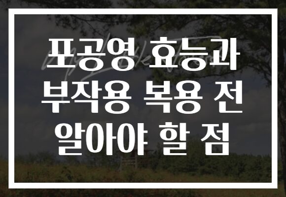 포공영 효능과 부작용 복용 전 알아야 할 점