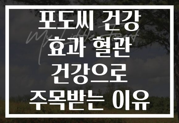 포도씨 건강 효과 혈관 건강으로 주목받는 이유