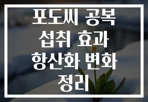 포도씨 공복 섭취 효과 항산화 변화 정리