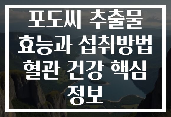포도씨 추출물 효능과 섭취방법 혈관 건강 핵심 정보