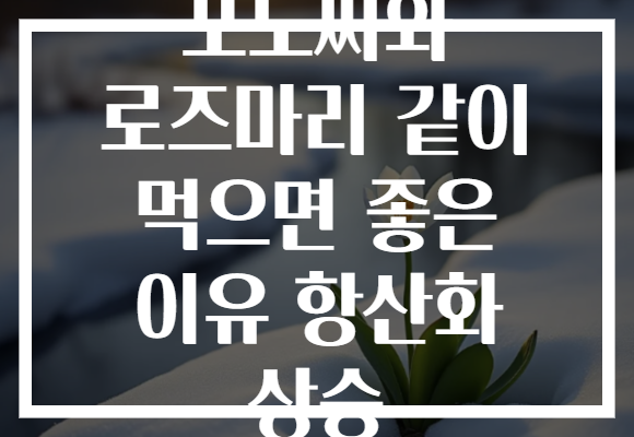 포도씨와 로즈마리 같이 먹으면 좋은 이유 항산화 상승
