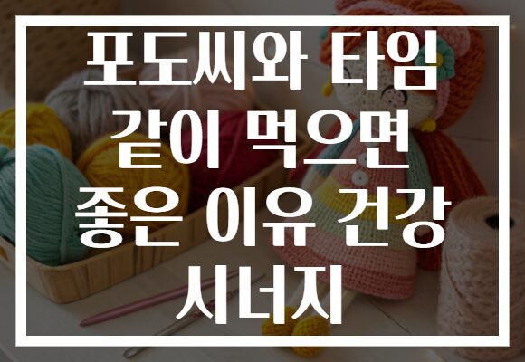 포도씨와 타임 같이 먹으면 좋은 이유 건강 시너지