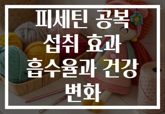 피세틴 공복 섭취 효과 흡수율과 건강 변화