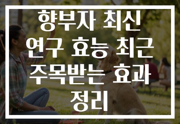 향부자 최신 연구 효능 최근 주목받는 효과 정리
