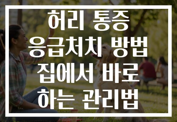 허리 통증 응급처치 방법 집에서 바로 하는 관리법