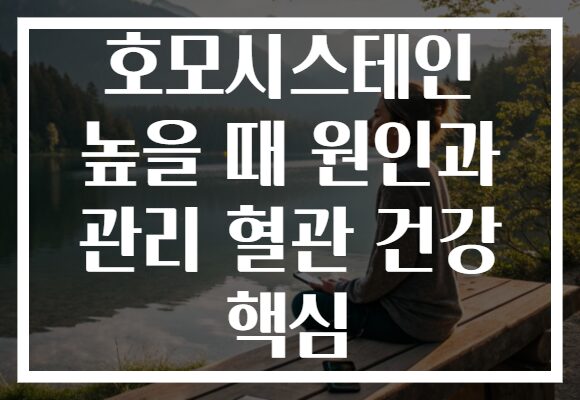 호모시스테인 높을 때 원인과 관리 혈관 건강 핵심
